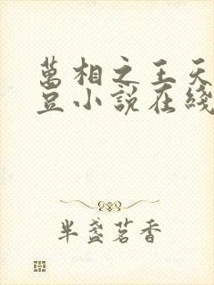 万相之王天蚕土豆小说在线阅读