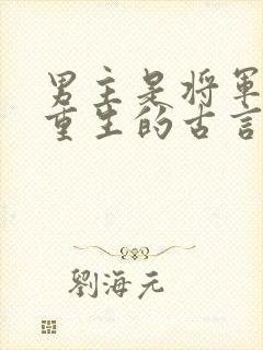 男主是将军女主重生的古言