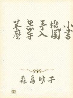 苹果手机小说怎么导入图书