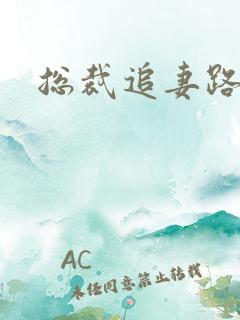 总裁追妻路漫漫