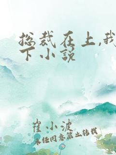 总裁在上,我在下小说