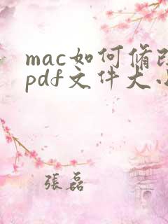 mac如何修改pdf文件大小