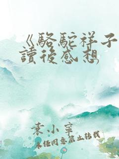 《骆驼祥子》的读后感想