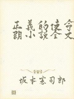 正义的使命厉元朗小说全文阅