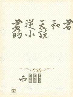 君逆天和君无邪的小说