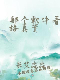 那个软件看车价格真实