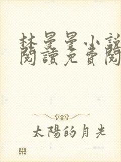 林曼曼小说全文阅读免费阅读全文