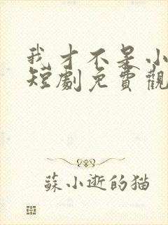 我才不是小可怜短剧免费观看全集