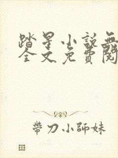 踏星小说无弹窗全文免费阅读