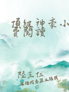 顶级神豪小说免费阅读