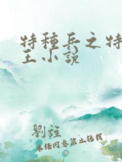 特种兵之特战兵王小说 特种兵之特战兵王小说