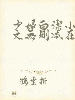 少妇白洁小说全文无删减在线阅读