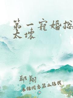第一宠婚总裁别太坏