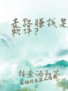 走路赚钱是什么软件?