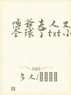 傅爷夫人又惊艳全球了txt小说