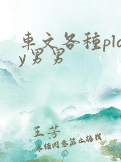 车文各种play男男