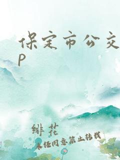 保定市公交app 保定市公交app