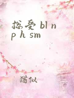总受 bl np h sm