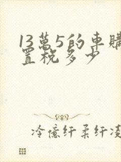 13万5的车购置税多少