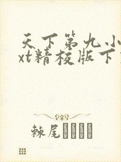 天下第九小说txt精校版下载