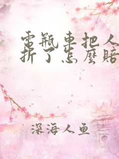 电瓶车把人撞骨折了怎么赔