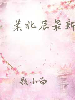 叶北辰最新章