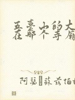 五台山的大白塔在哪个寺庙