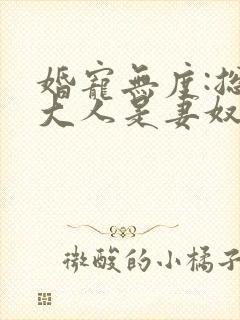 婚宠无度:总裁大人是妻奴全文免费阅读