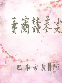 王宇林柔小说免费阅读全文最新章节