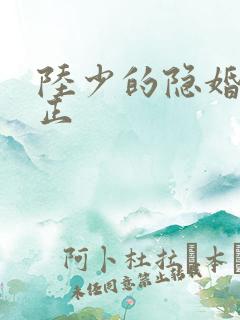 陆少的隐婚罪妻正