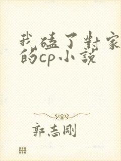 我磕了对家x我的cp小说