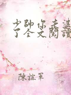 少帅你老婆又跑了全文阅读免费