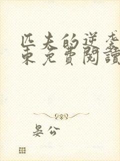 匹夫的逆袭刘汉东免费阅读原文