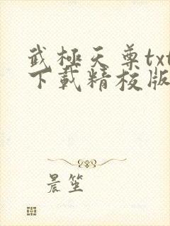 武极天尊txt下载精校版