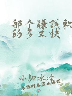 那个赚钱软件赚的多又快 那个赚钱软件赚的多又快