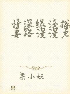 情深缘浅总裁追妻路漫漫免费阅读