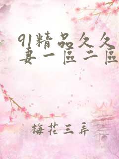 91精品久久人妻一区二区