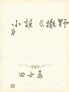 小说《撒野巫哲》