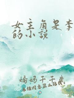 女主角是李子柒的小说
