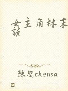 女主角林末的小说