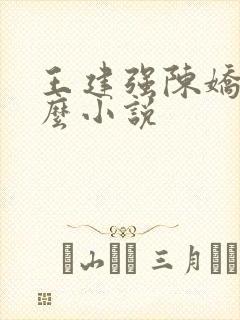 王建强陈娇娇什么小说