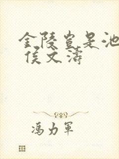 金陵岂是池中物 侯文涛