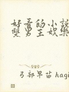 好看的小说推荐双男主娱乐圈