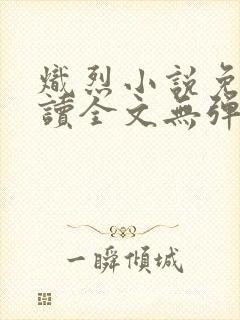 炽烈小说免费阅读全文无弹窗