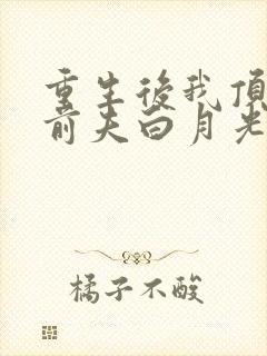 重生后我顶替了前夫白月光最新版
