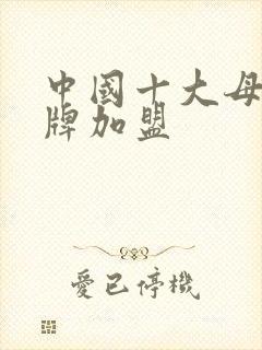 中国十大母婴品牌加盟
