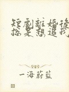 短剧离婚后前夫总是想追我免费观看 短剧离婚后前夫总是想追我免费观看