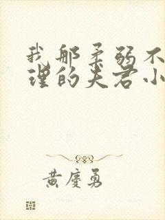 我那柔弱不能自理的夫君小说