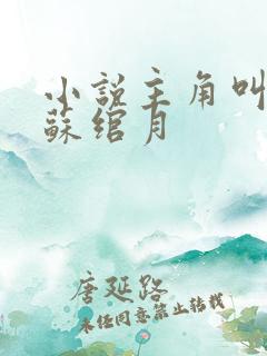 小说主角叫林凡苏绾月