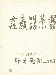 女主叫叶澜男主姓顾的小说